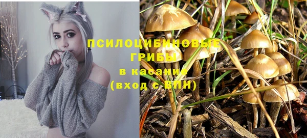 синтетический гашиш Богданович