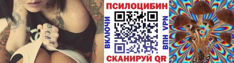 это наркотические препараты  Чудово  Псилоцибиновые грибы прущие грибы  mega ONION 